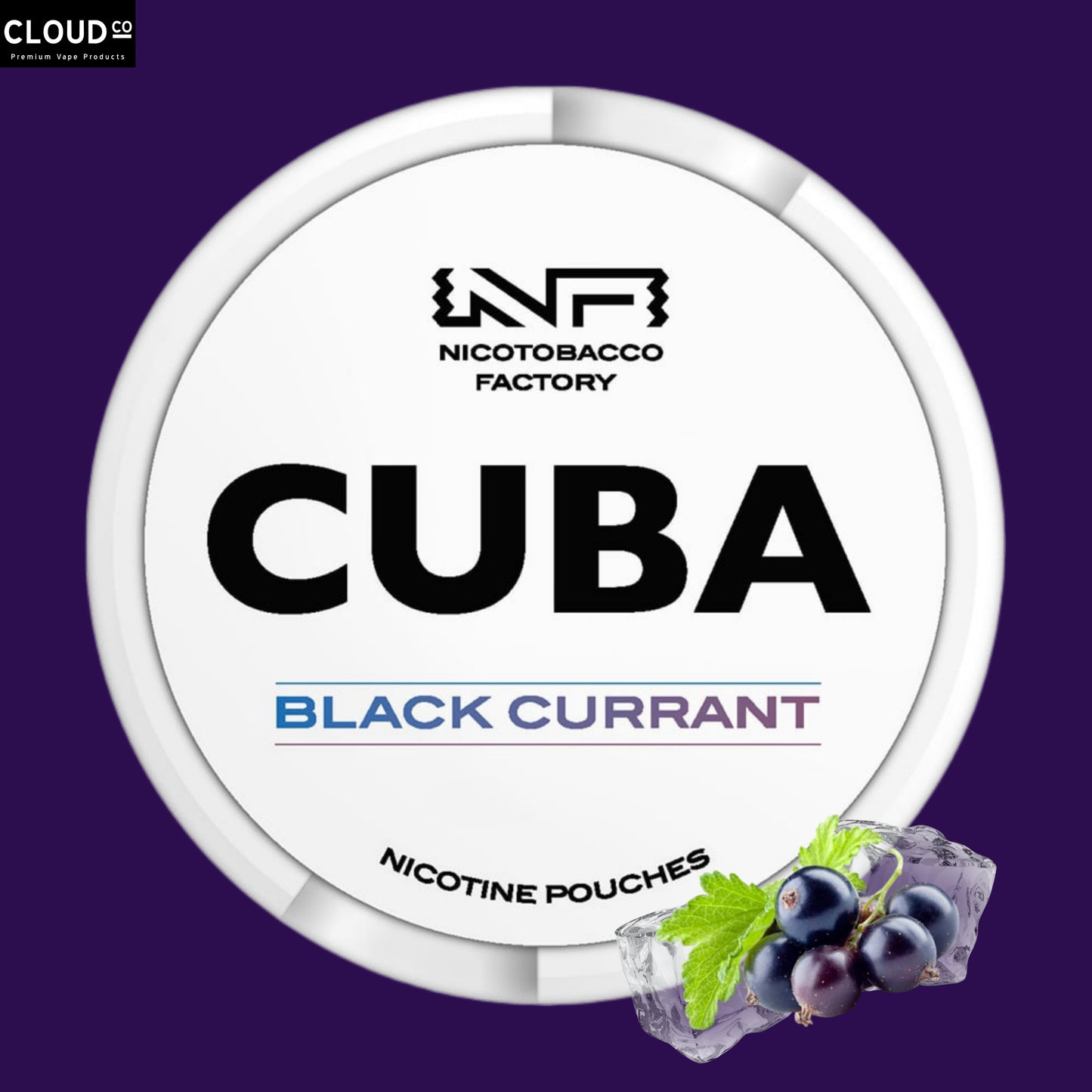 SNUS 20 POUCHES