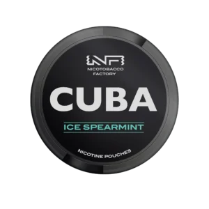 SNUS 20 POUCHES