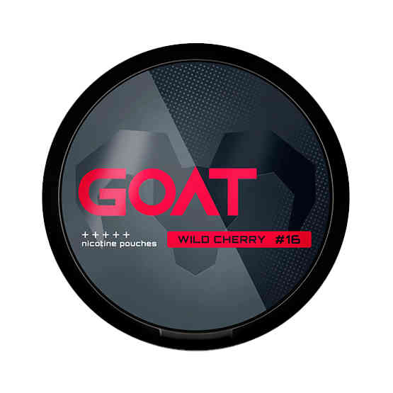 SNUS 20 POUCHES
